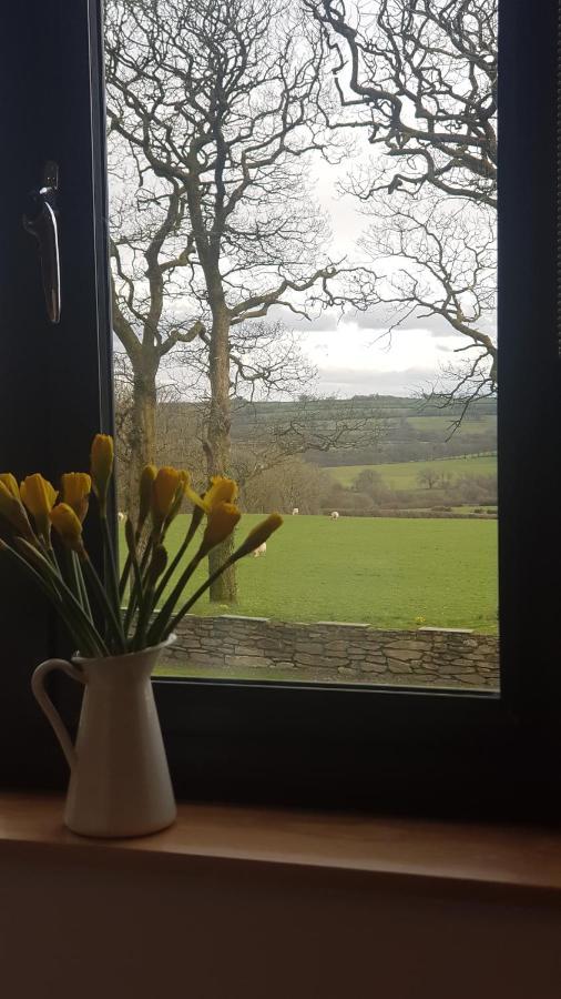 Appleton House Bed and Breakfast Thornbury  Εξωτερικό φωτογραφία